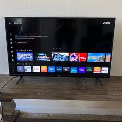 Vizio Flat Screen TV
