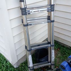 Brand New Ladder Never Used 40$