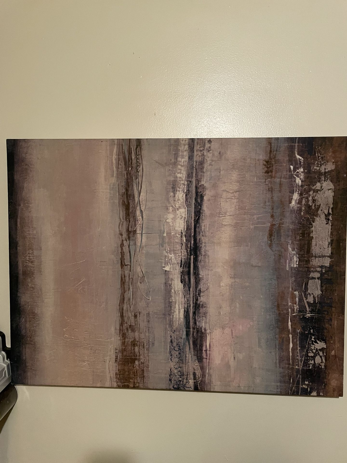 30inx40in Wall Canvas Print