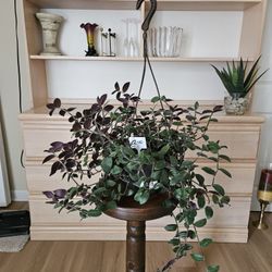 Hanging Baby Bunny Bellies