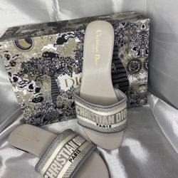 Sandal /shoes /flat /Dior Shoes 