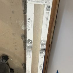 Ceasar Ceramic Tile.