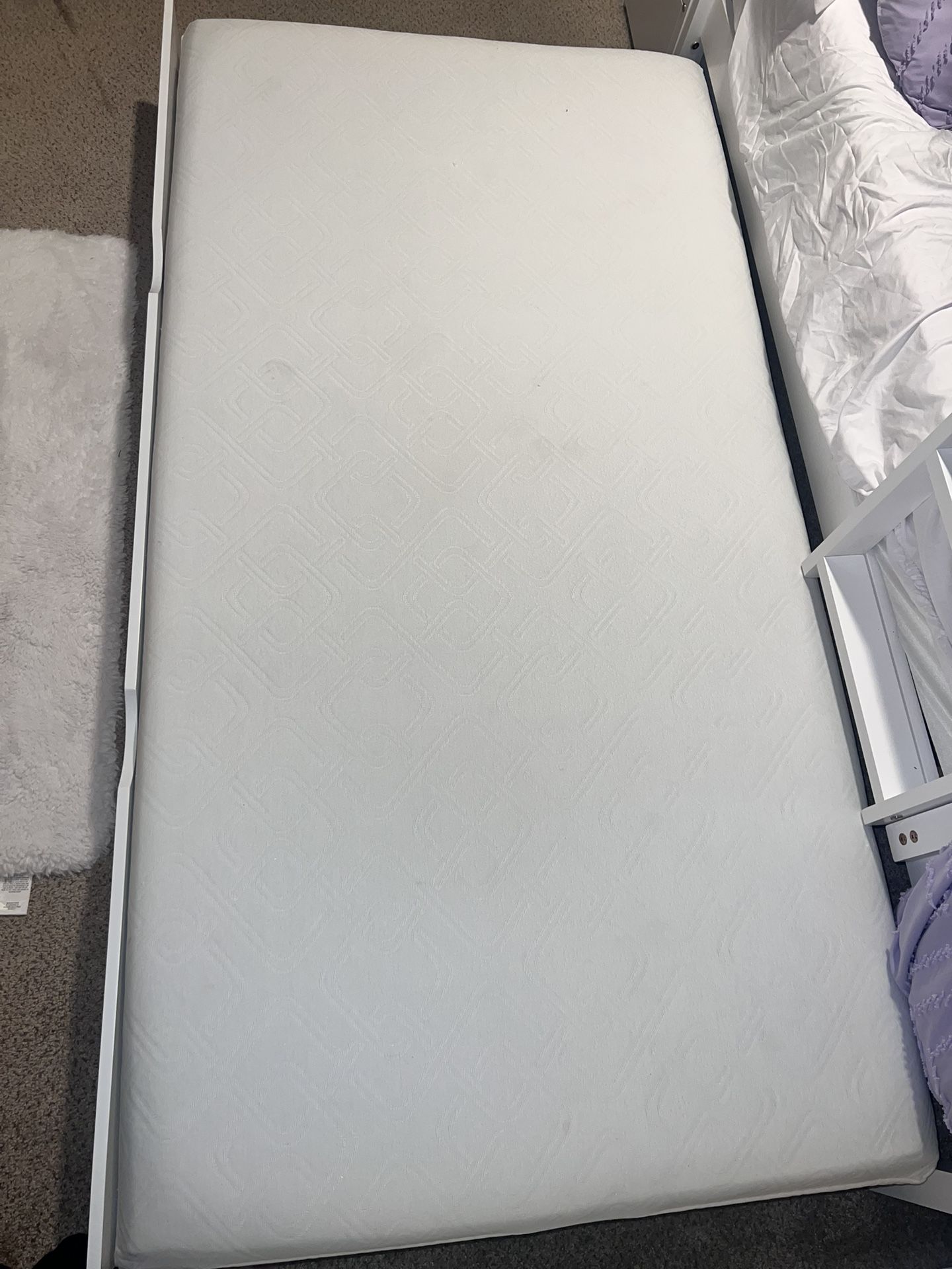 Twin Foam Mattress 