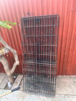 Gate for dogs