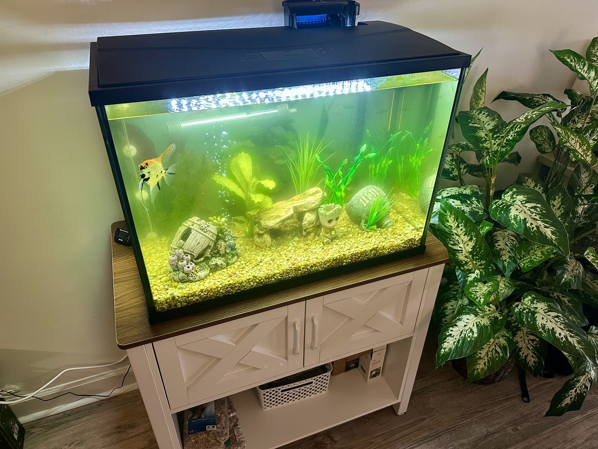 40 Gal Fish tank & Stand