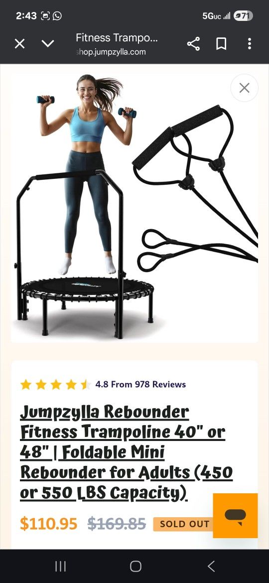 Fitness Trampoline 48 Inches 