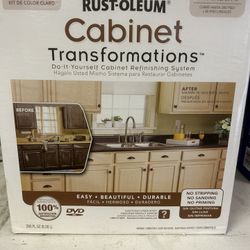 Cabinet Paint Kit - Color can be adjusted with Tint