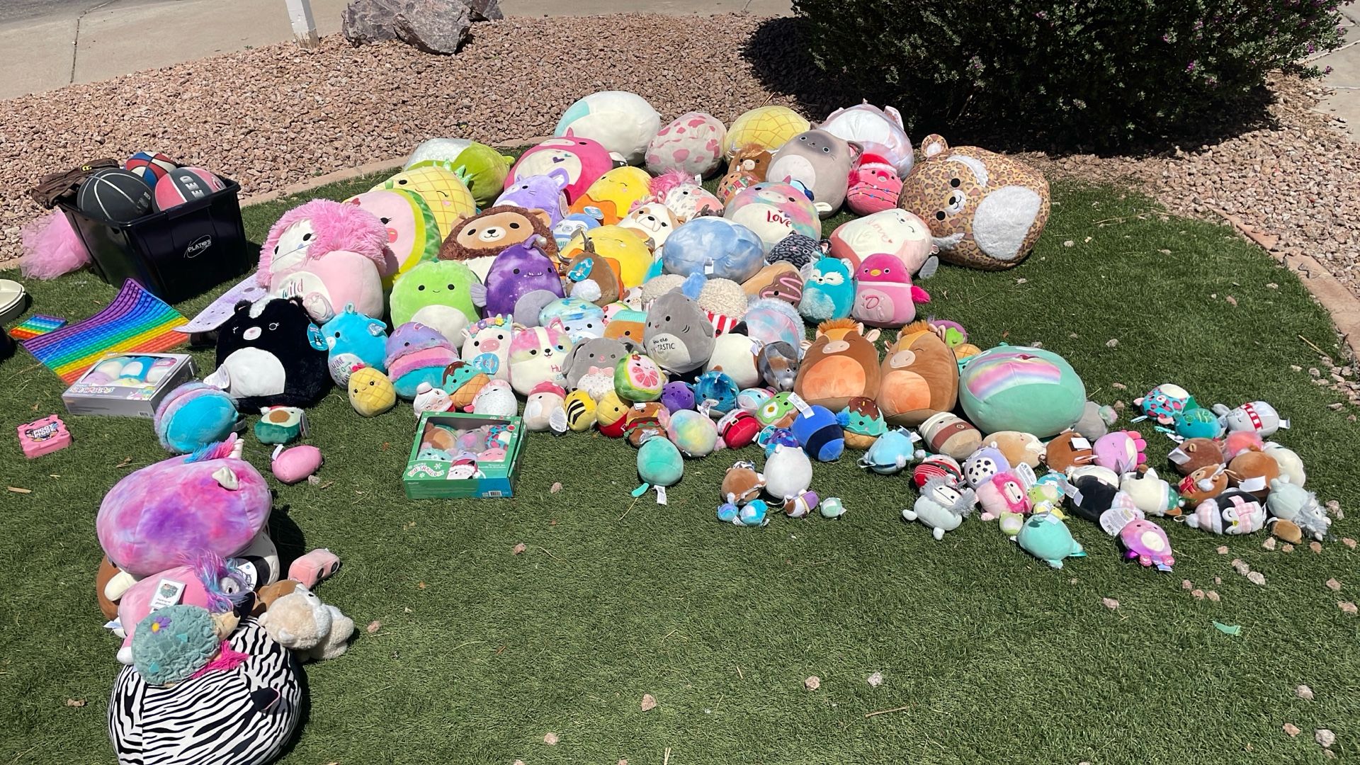 Lots Of Squish Mellows