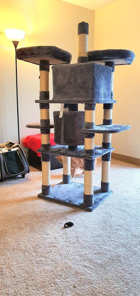CAT TOWER