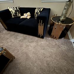black And Gold Sued couches