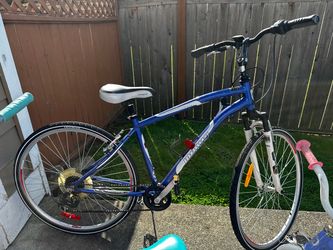 Adult bike