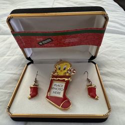 Warner Bros. Vintage Brand New Pin And Earring Set