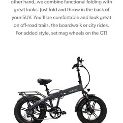 E Lux Sierra Electric Bike