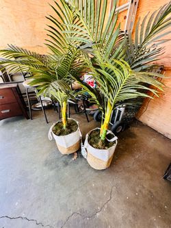 Fake palm trees