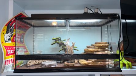 Reptile terrarium 40, and setup. Willing to negotiate