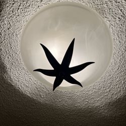 Light Fixtures