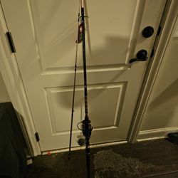 Penn Passion II Fishing Rod And Reel