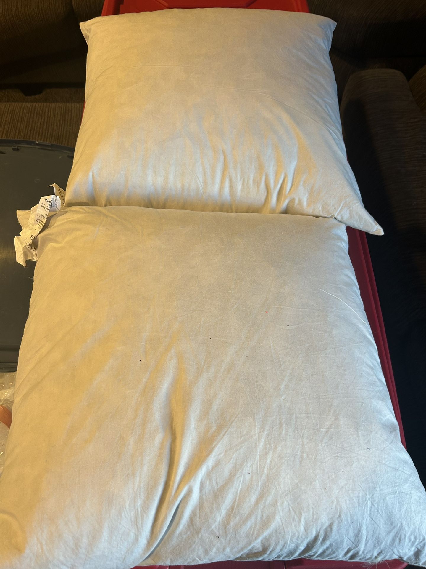 Down Feather Pillow Inserts (19 Inches) Set