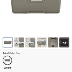 Cooler Coleman