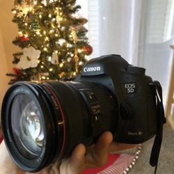 Canon 5D Mark III w/24-105 L lens