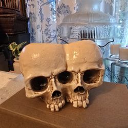 Halloween Skull Decor Plant Pot