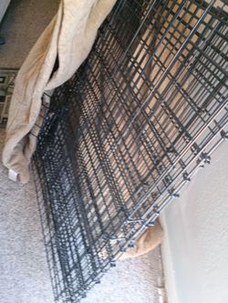 Small dog kennel