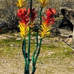 Extra Large Over 5 Feet Tall Ocotillo Decorative Vibrant Colorful  Metal Yard Art