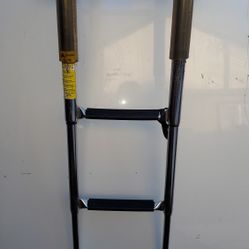 Boat Ladder--3 Step Stainless Steel Retractable Ladder