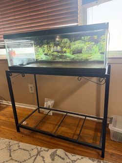 Reptile tank with stand
