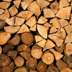 Selling Fire Wood 