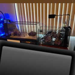 2 Reef/saltwater tanks Freshwater 