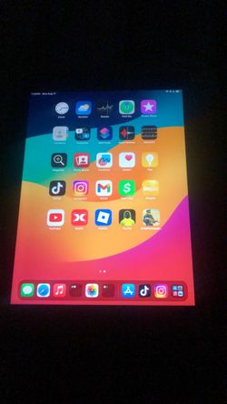 iPad