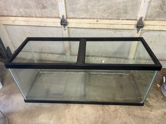 Two large terrarium/aquariums