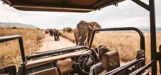 Secret Africa Safari Package Starting @ $2000