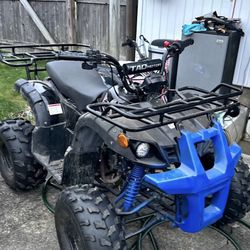 Tao Tao 125cc Gas Dirt Bike 