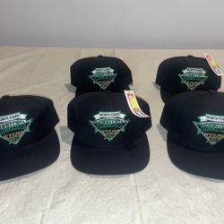 1 Nwt Snapback Minnesota North Stars Hockey Cap Mens American Needle Wool Ccm