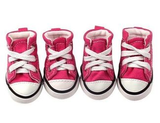 High tops pet shoes