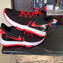 Lebron Basketball Shoes 