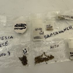 Herbal Seeds