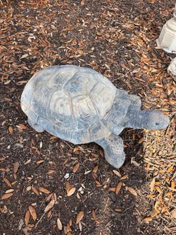 Large turtle garden statuary