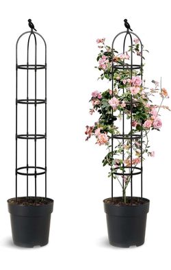 Plant Trellis (2pk)