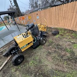 Stump Grinding 