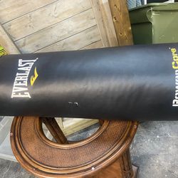Everlast Punching Bag With Mount