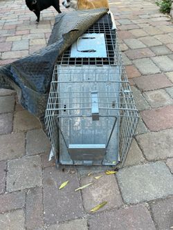 Trap. For rats. Cats. Squirrel whatever