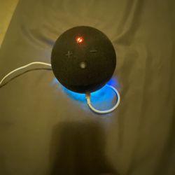 Alexa Dot 4gen 