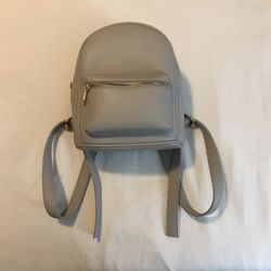 Backpack Purse 