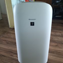 Smart Air Purifier/Detoxifier 