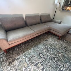2 Month Old Couch