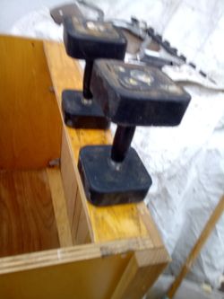 15 Pound Weights