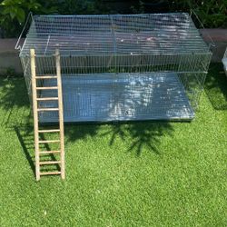bird cage
